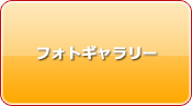 フォトギャラリーへ